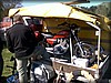 deg-vet_20110424208.jpg