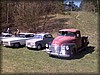deg-vet_20110424209.jpg