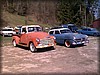 deg-vet_20110424213.jpg
