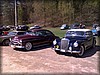 deg-vet_20110424214.jpg