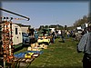 deg-vet_20110424218.jpg