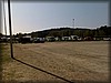 deg-vet_20110424219.jpg