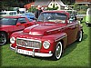 deg-vet_20110903_4888.jpg