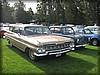 deg-vet_20110903_4895.jpg
