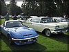 deg-vet_20110903_4896.jpg
