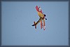 fly-in-2011_015_2952.jpg