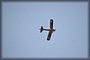 fly-in-2011_016_2953.jpg
