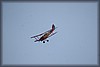 fly-in-2011_018_2955.jpg