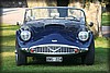 frostav-20110804_3306.jpg