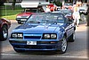 frostav-20110804_3310.jpg