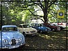 gula-20110925_5393.jpg