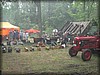 t-kulan-20110703_3644.jpg
