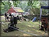 t-kulan-20110703_3646.jpg