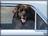 tolv-2011_2703.jpg