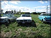 tryde-20110501_2424.jpg