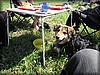 tryde-20110710_3864.jpg