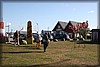 kivik-20121008_3621.jpg