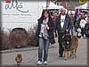 lovestad-20120415_8624.jpg