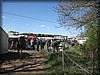 ormanas-20120505_8998.jpg