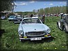 ormanas-20120505_9013.jpg