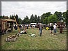 svenstorp-2012_9844.jpg