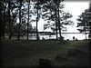 tydinge-20120626_9720.jpg