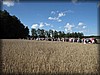akesholm-20130825_1941.jpg