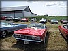 johanna-130713_1467.jpg