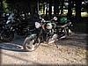 granbacken_3422.jpg