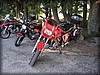 granbacken_3424.jpg