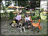 harlsa-20140705_3235.jpg