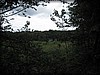 hultivalen-20140712_3341.jpg