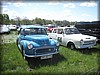 ormanas-2014_2696.jpg