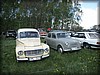 ormanas-2014_2704.jpg