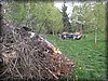 valborg-2014_2679.jpg